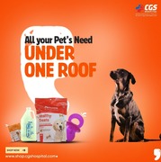 Best Pet Shops in Gurgaon | CGS HOSPITAL