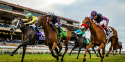 Singapore Horse Racing Online Betting | 8nplay.com