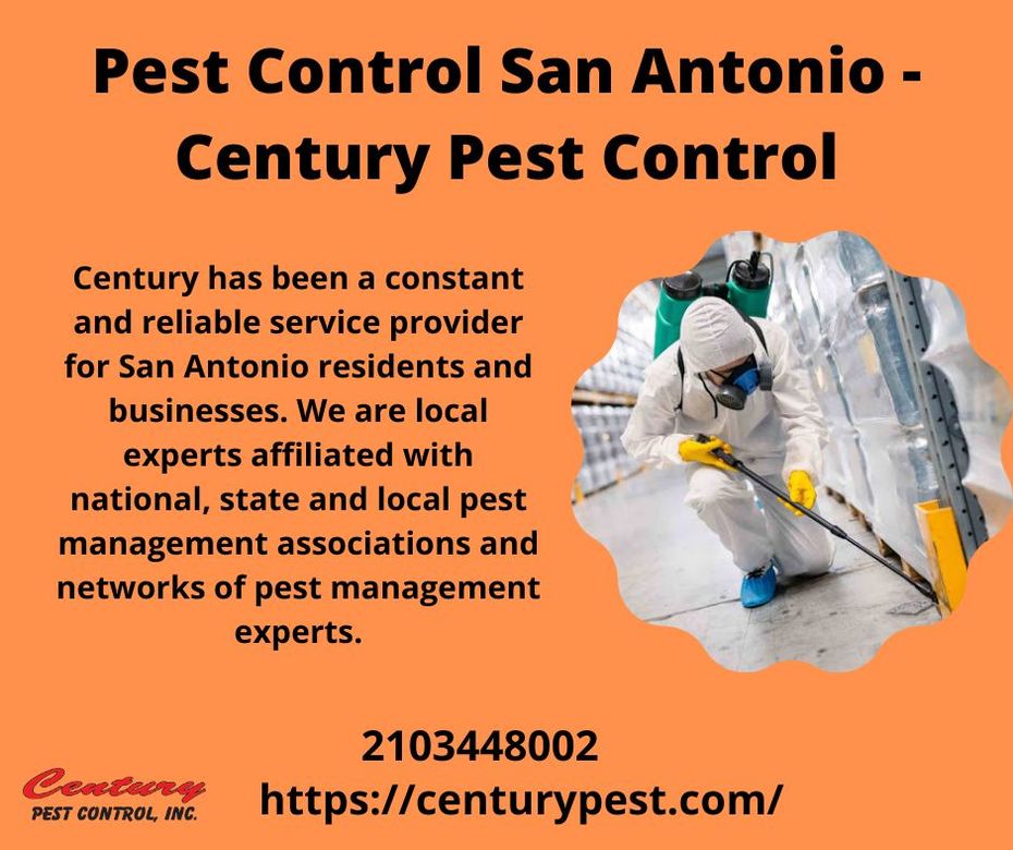 Pest-Free Living: Premier Pest Control in San Antonio